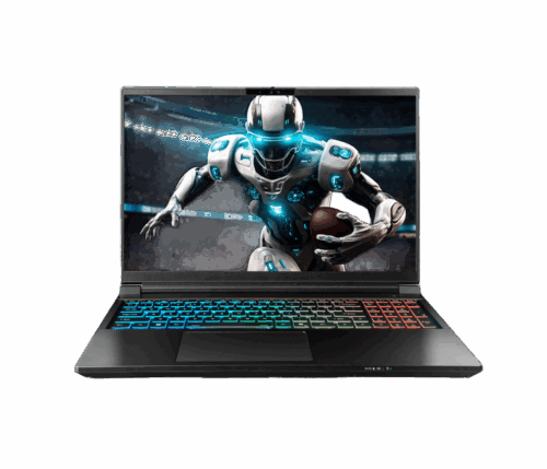 NP9561R